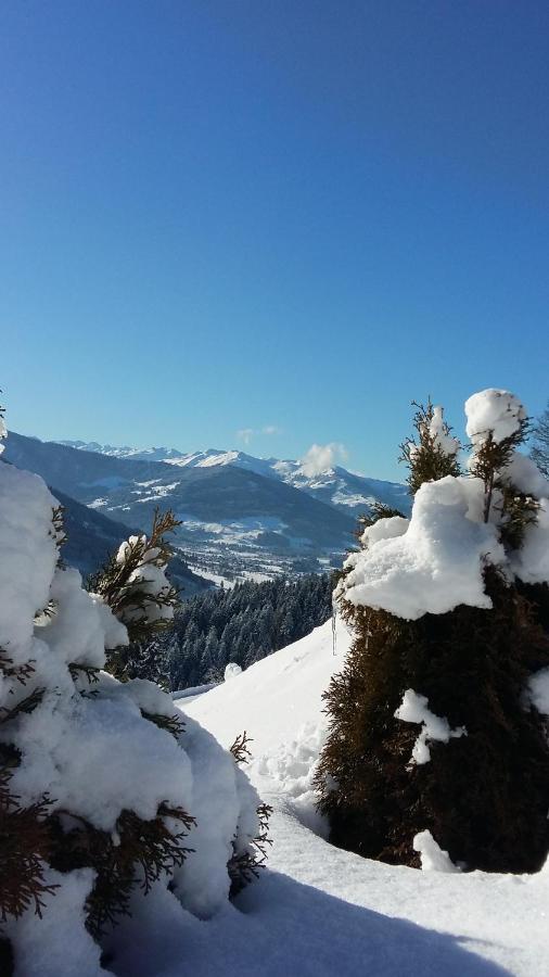 Reiterbauer Chalets & Ferienwohnungen Kirchberg in Tirol Bagian luar foto